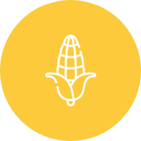 kukurydza