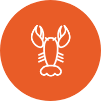 skorupiaki